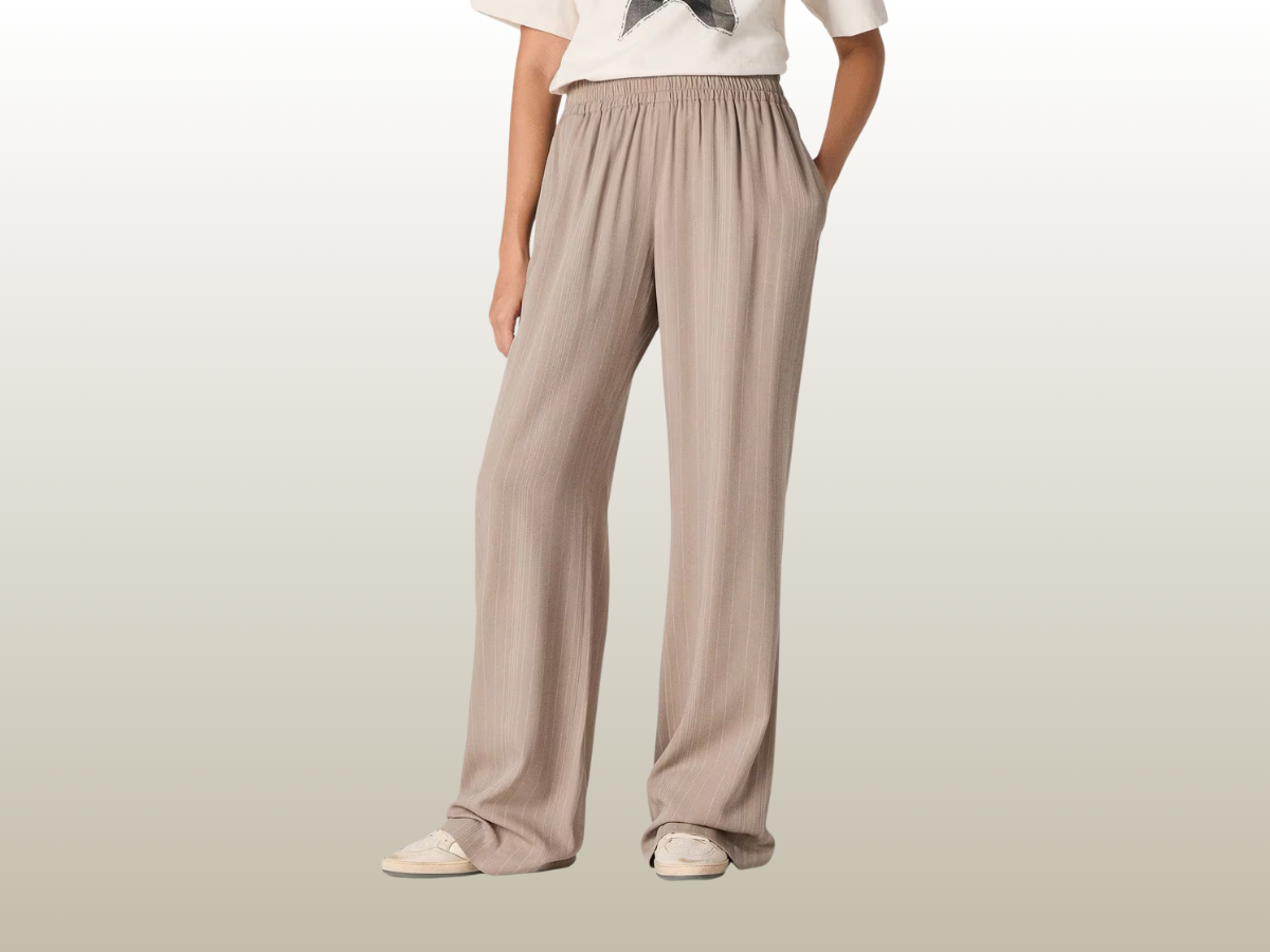 GOLDEN GOOSE - PINSTRIPE WOOL BLEND PANTS